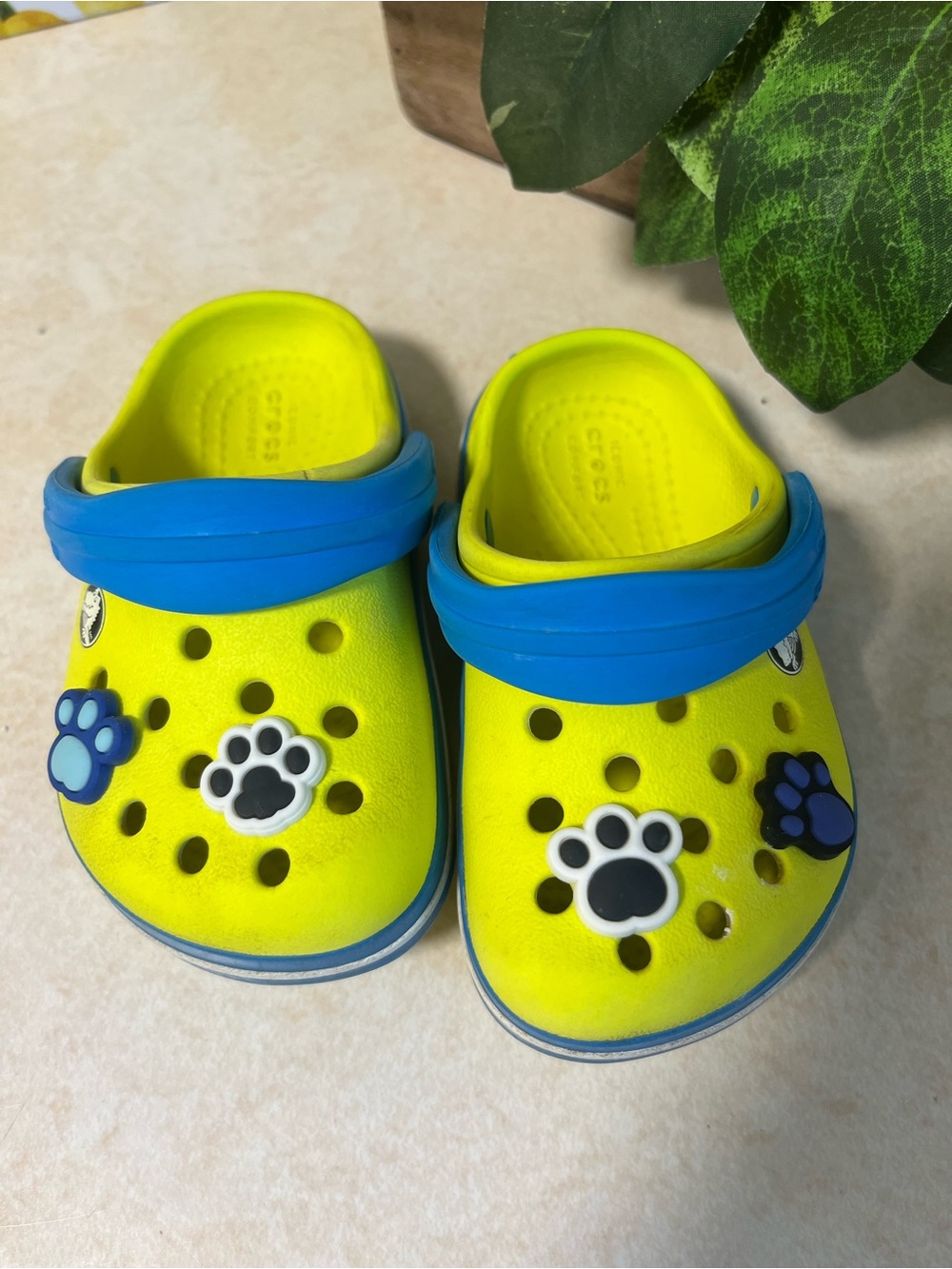 CROCS Kids Neon Yellow Clogs with Blue Strap and Paw Charms Size C5